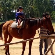 smmi st theresas blore