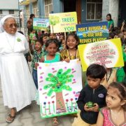 smmi st theresas blore